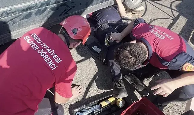 Ordu'da otomobilin egzoz muhafazasına sıkışan yavru kedi kurtarıldı