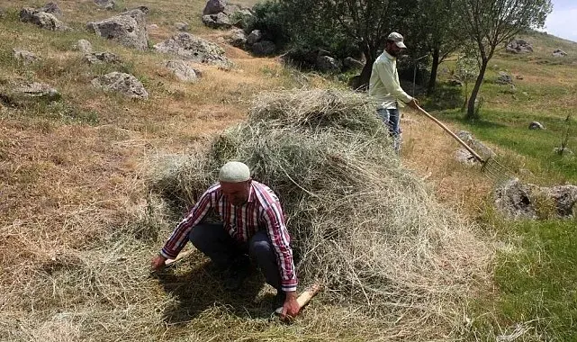 Erzincan'da vatandaşların kış hazırlığı