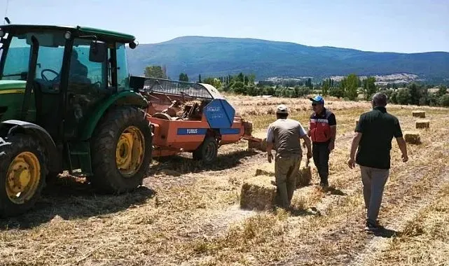 Kütahya Köprüören köyünde yem bezelyesi demonstrasyonunda hasat tamamlandı