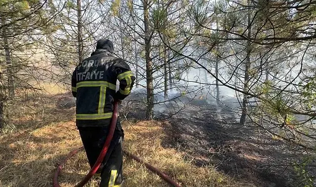 Artan sıcaklıklarda yangınlara karşı hayati uyarı: Yüzde 90'dan fazlası insan kaynaklı
