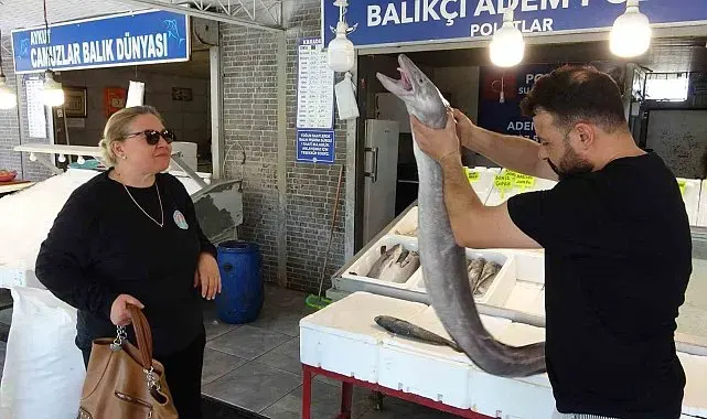 Mersin'de dev yılan balığı tezgahta ilgi odağı oldu