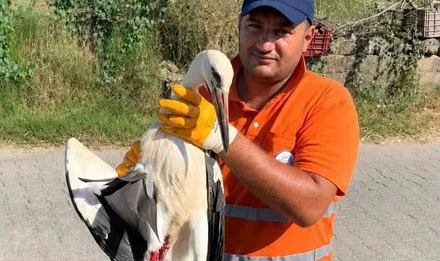 Temizlik personelinin duyarlılığı yaralı Leyleğe umut oldu