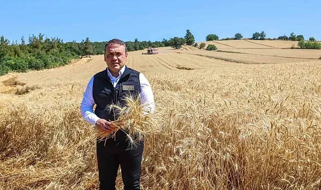 Bilecik'te bu yıl 335 bin dekar alanda 167 bin 500 ton buğday üretimi bekleniyor