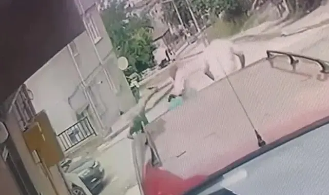 Kardeş katliamının zanlısı teslim oldu