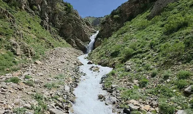 20 yıl sonra yeniden hayat buldu: Çatak'ta kuruyan su kaynağı akmaya başladı