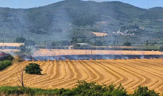 Gemlik Serbest Bölge yakınında yangın