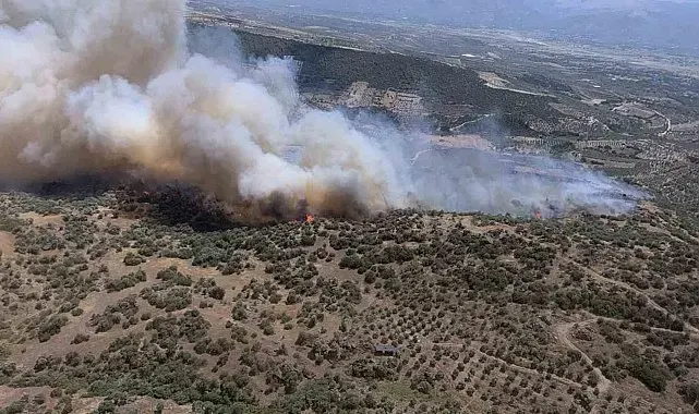 Yazıkent'te yangını büyüten rüzgar bugün de etkisini sürdürecek