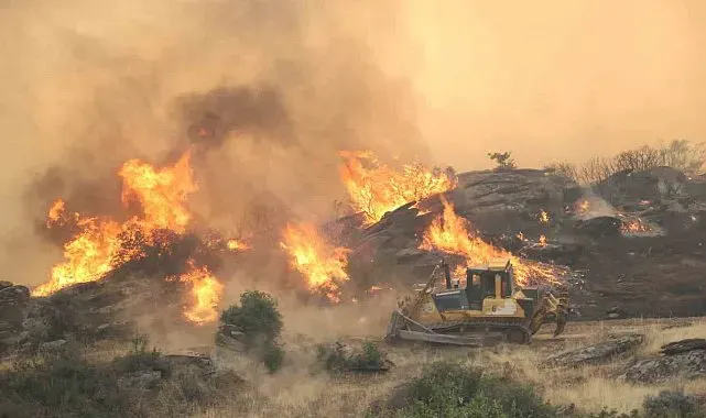 Bozdoğan'daki yangında söndürme çalışmaları 7. saate ulaştı