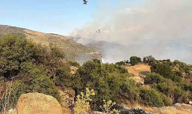 Bozdoğan'da tahliye başladı, alevler sınıra dayandı