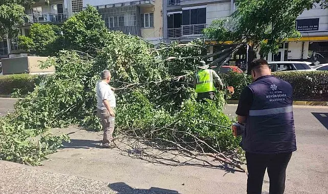 Seyir halindeki otomobilin üzerine ağaç devrildi
