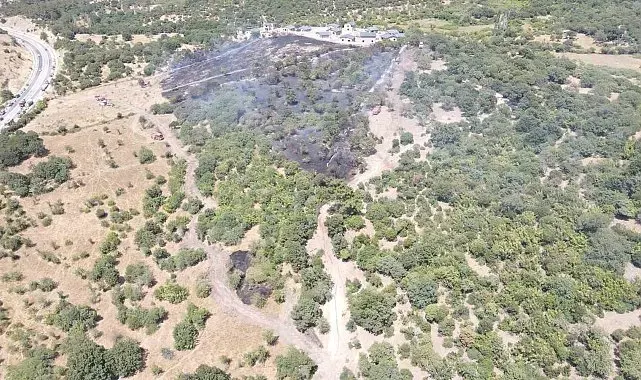 Ayvacık'ta orman yangını kontrol altına alındı