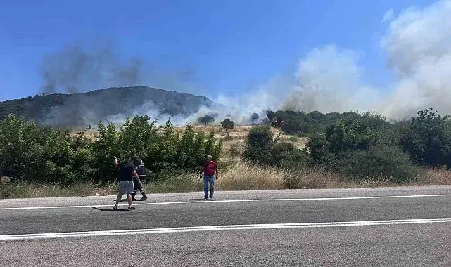 Ayvacık'ta orman yangını