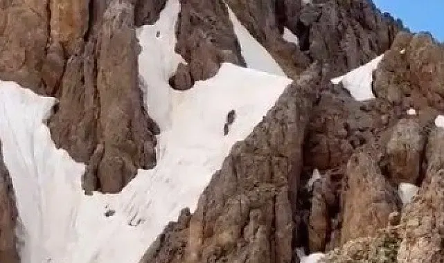 Yaz ortasında karlı zirvede ayı sürprizi