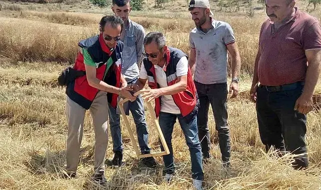 Tavşanlı'da biçerdöver kontrolleri sürüyor