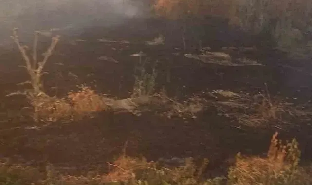 Anız yangını tarım arazileri ve ormanlık alana sıçramadan söndürüldü