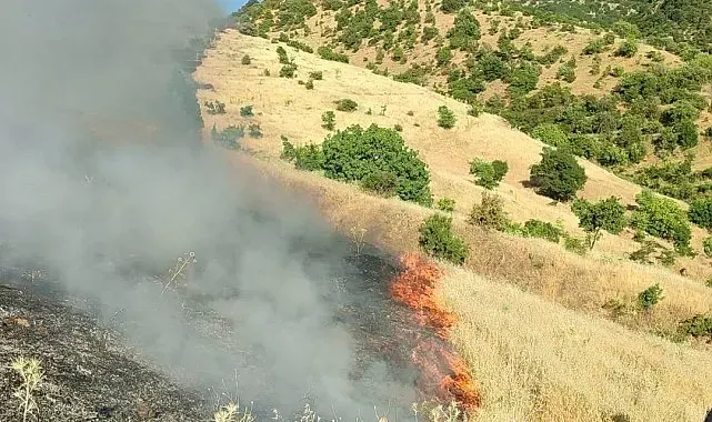 Malatya'da orman yangını