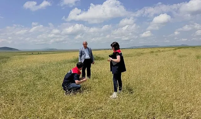 Kars'ta fırtına ve dolu sonrası hasar tespit çalışmaları başladı