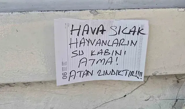 Sokak hayvanlarının su kabını atanlara ilginç tepki: "Atan zındıktır"
