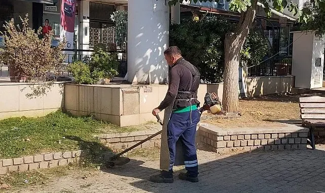 Efeler Belediyesi'nden yeşil alanlarda çalışma
