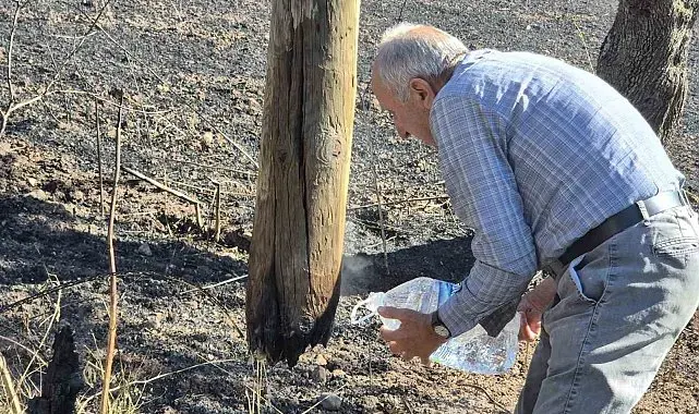 'Bereketli' topraklar karardı