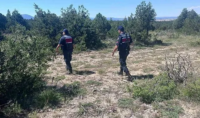 Kütahya'da orman yangınlarına karşı jandarma teyakkuza geçti