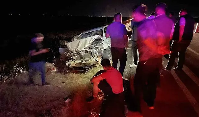 Siverek'te otomobil koyun sürüsüne daldı: 3 kişi yaralandı, 11 koyun telef oldu