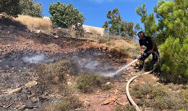 Cunda Adası'nda orman yangını