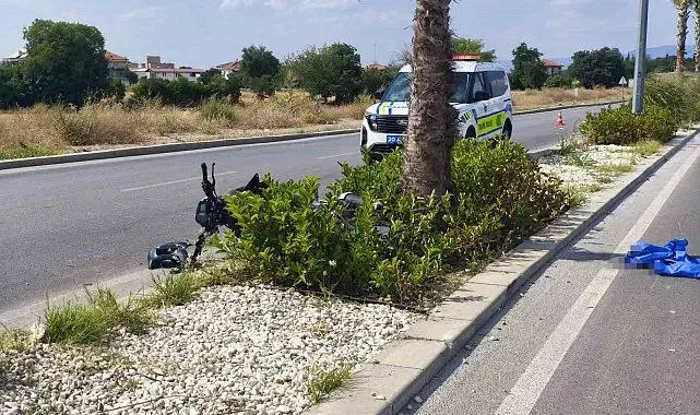 Denizli'de ağaca çarpan motosikletin sürücüsü ağır yaralandı