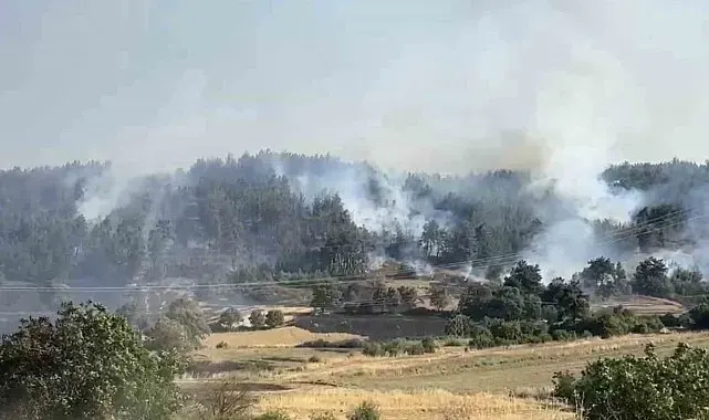 Balıkesir'de orman yangınına müdahale sürüyor