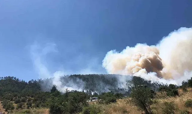 Balıkesir Kepsut'ta orman yangını