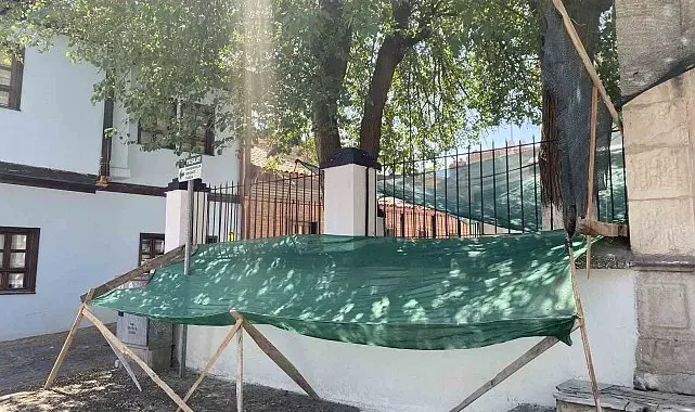 Dökülen dutlar için ağlı önlem