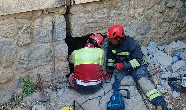 Konya'da duvar arasında kalan kediye itfaiyeden 9 saatlik kurtarma operasyonu