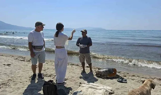 Üremek için geldikleri kıyılarda 3 caretta caretta ölü bulundu
