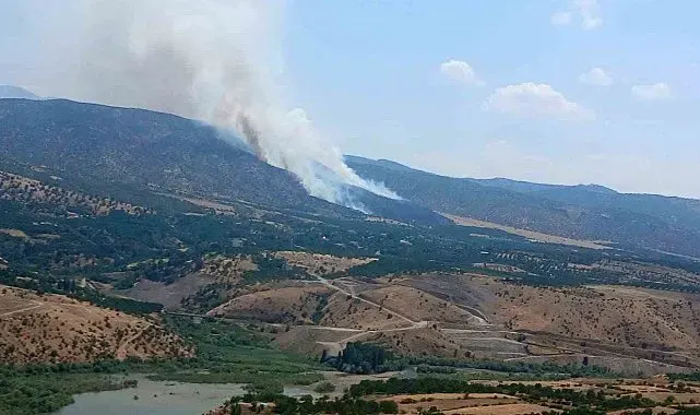 Pütürge'de orman yangını