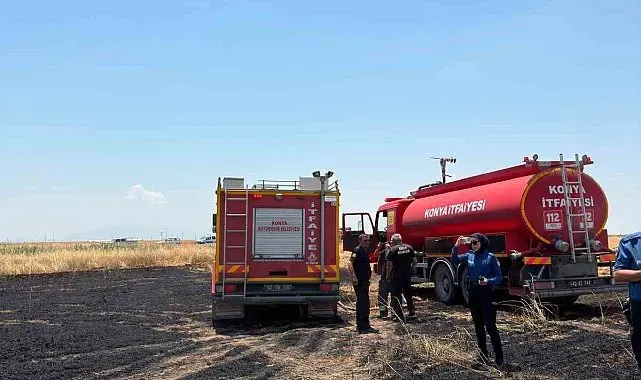 Karapınar'da 15 dönüm arpa ekili tarla yangında zarar gördü