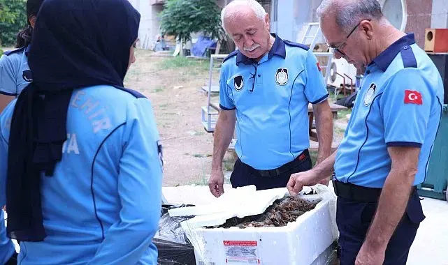 Antalya Otobüs Terminali'nde kerevit operasyonu: 90 kilogram ele geçirildi