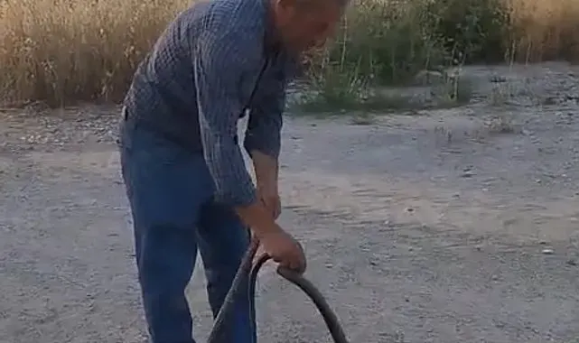 Muhtar, evlere giren yılanları eliyle yakalayıp doğaya bırakıyor