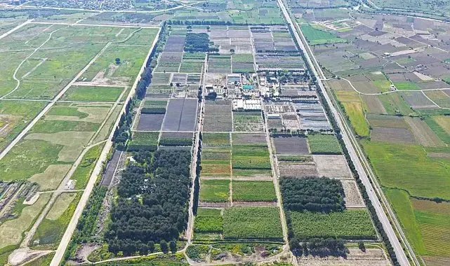 Yeşil vatan için fidan seferberliği sürüyor