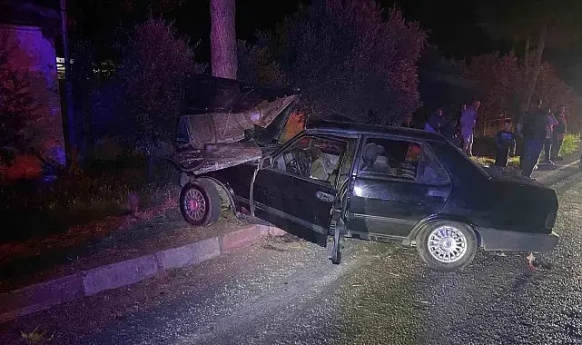Sokak köpeğinden kaçmak isteyen otomobil ağaca çarptı: 1'i ağır 2 yaralı