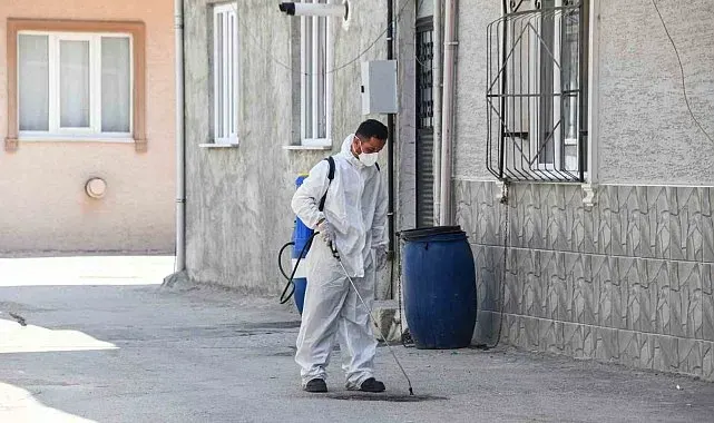 Osmangazi Belediyesi'nden haşereye karşı anında müdahale