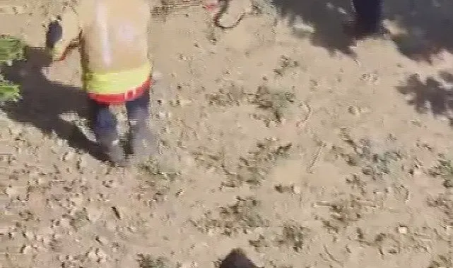 Yakalanacakken kaçan yılan, ekipleri peşine taktı