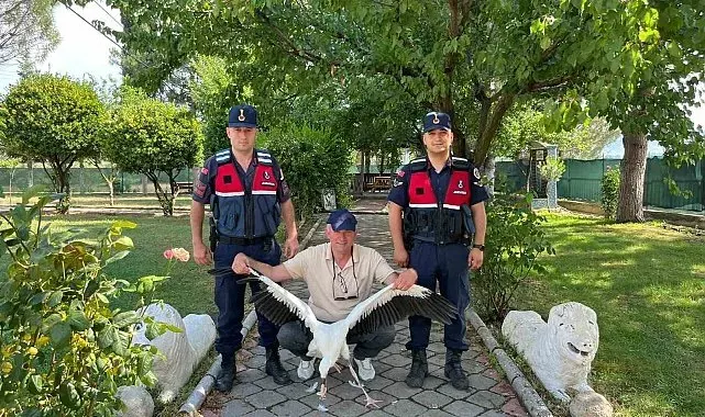 Yaralı leylek için seferber oldular