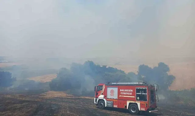 Bandırma'da 4 ayrı noktada başlayan arazi yangını söndürüldü