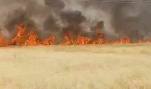 Şanlıurfa'da 45 dönüm buğday ekili alan yandı