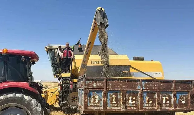 Adıyaman'da çörek otu hasadı başladı