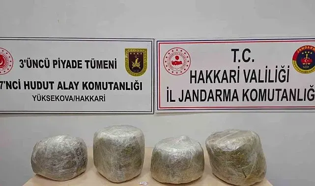 Yüksekova'da 11 kilo skunk ele geçirildi