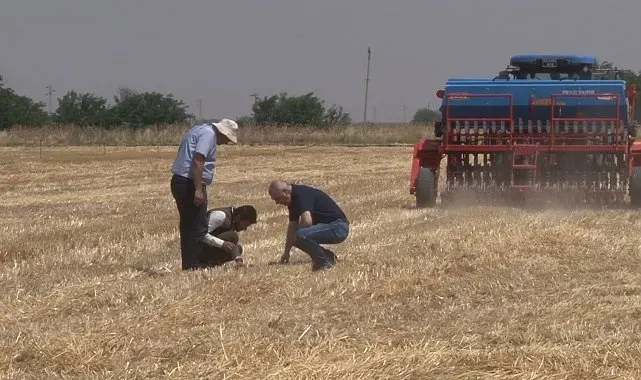 Şanlıurfa'da 'anız yakmadan üretim' modeli yaygınlaşıyor: Toprak korunuyor çiftçi kazanıyor