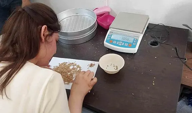 Geliboolu'da TMO alım noktalarında inceleme