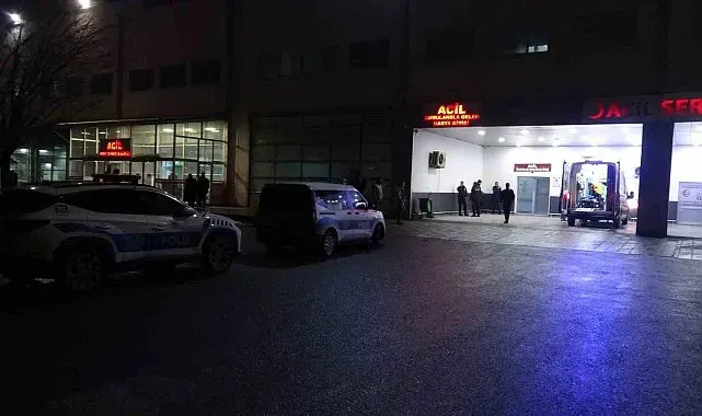 Malatya'da "dut ağacı" kavgasında 2 tutuklama
