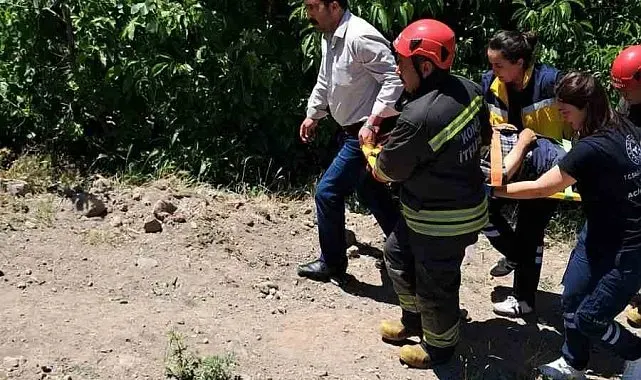 Ağaçtan su kanalına düşen şahıs yaralandı